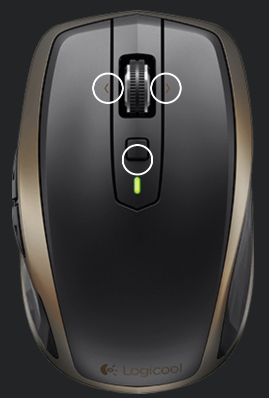 mouse